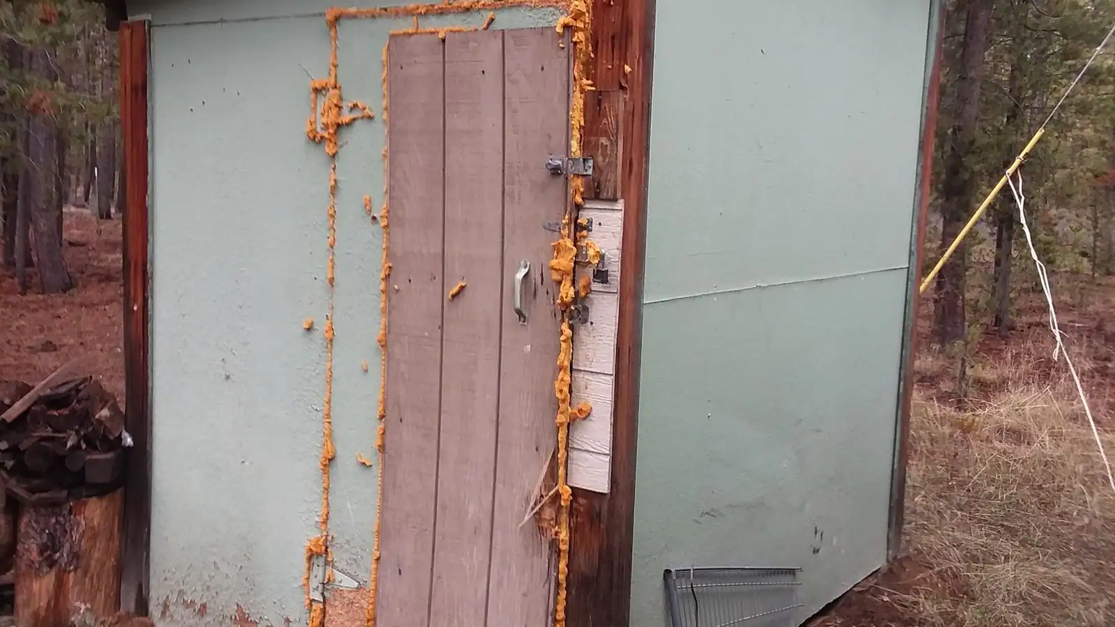 An old painted shed with a weathered plank door
