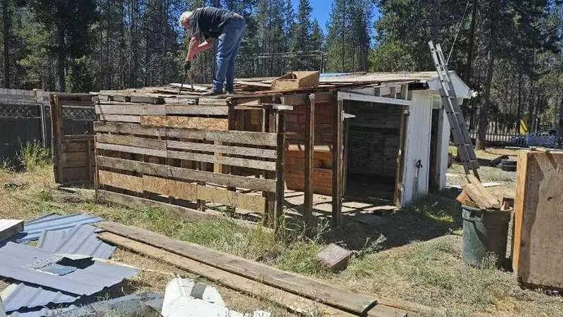 Calvin on top of an old wood shed, taking it apart