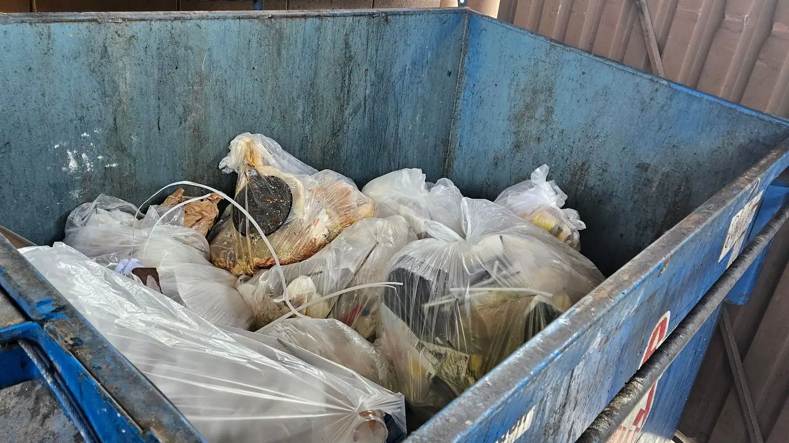 Full trash bags piled in a blue dumpster